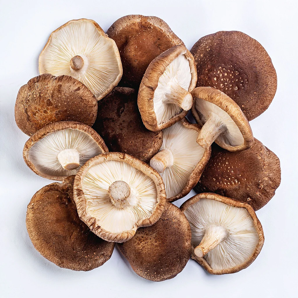 Shiitake